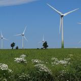 1307G 029 Insel Fehmarn